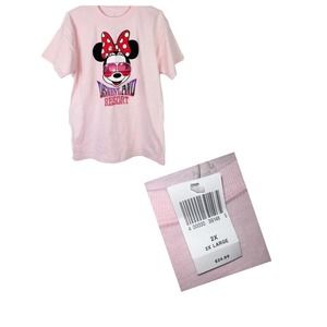 Disney Land Resort Minnie Mouse shirt Graphic Size two extra large (2xl)  Pink